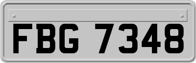 FBG7348
