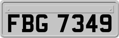 FBG7349