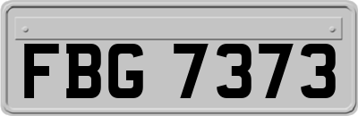 FBG7373