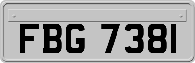 FBG7381