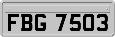 FBG7503