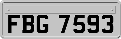 FBG7593