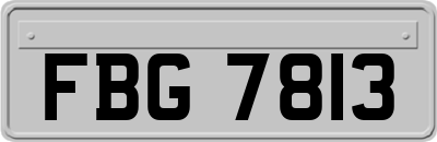 FBG7813