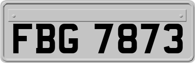FBG7873