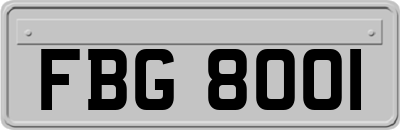 FBG8001