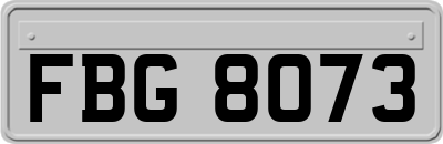 FBG8073