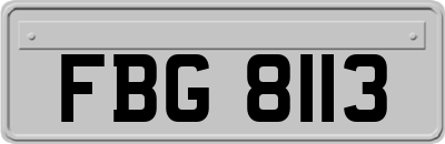 FBG8113