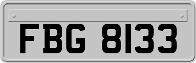 FBG8133