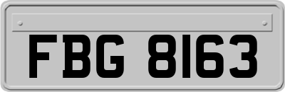 FBG8163