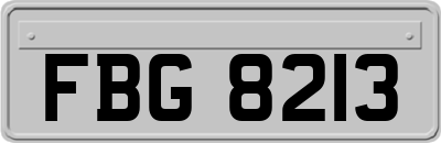 FBG8213