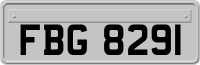 FBG8291