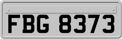 FBG8373