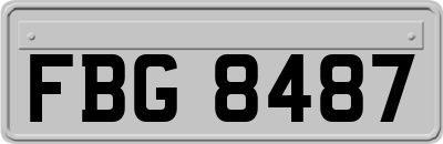 FBG8487