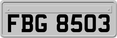 FBG8503