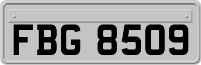 FBG8509