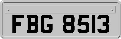 FBG8513