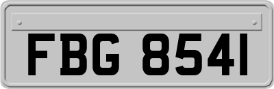 FBG8541