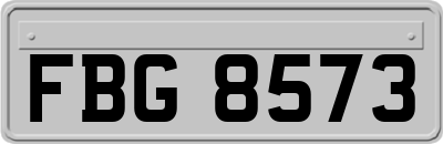 FBG8573