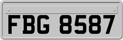 FBG8587
