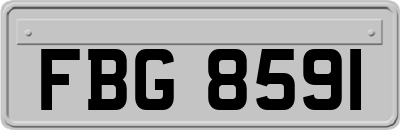 FBG8591