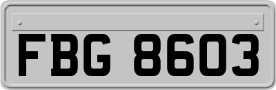 FBG8603