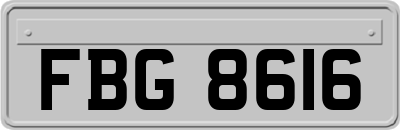 FBG8616