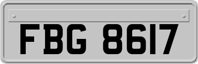 FBG8617