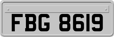 FBG8619