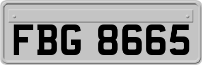 FBG8665