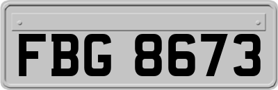 FBG8673