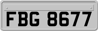 FBG8677