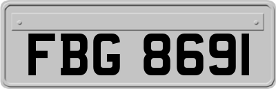 FBG8691