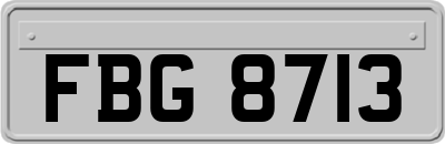 FBG8713