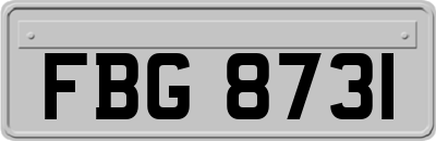 FBG8731