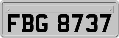 FBG8737