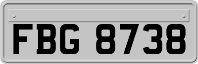 FBG8738