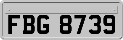 FBG8739