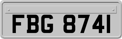 FBG8741