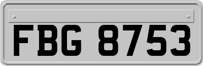 FBG8753