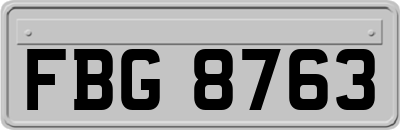FBG8763