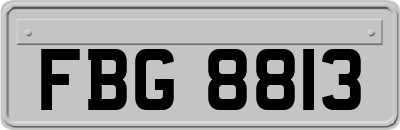 FBG8813