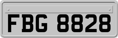 FBG8828