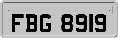 FBG8919