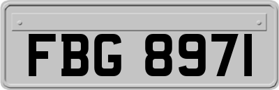FBG8971