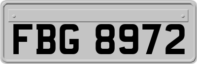 FBG8972