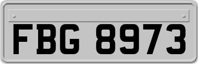 FBG8973