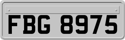 FBG8975