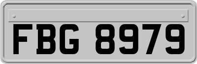 FBG8979