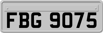 FBG9075
