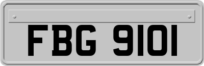 FBG9101